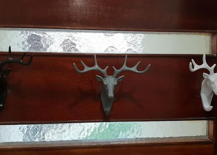 Cosylary T3 Pic Lumiere 3 Etoiles 5 Diamants Et Terrasse Avec Vue Sur Les Montagnes Apartment *