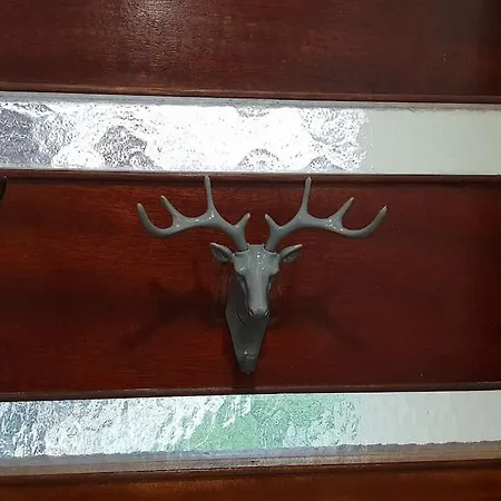 Cosylary T3 Pic Lumiere 3 Etoiles 5 Diamants Et Terrasse Avec Vue Sur Les Montagnes Lejlighed *